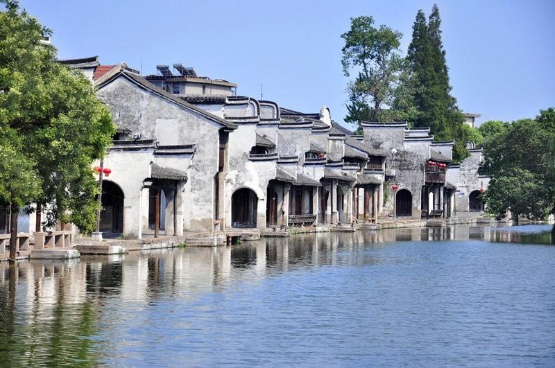 学习插花艺术